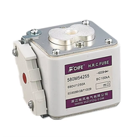 Protection haute vitesse à action rapide Mini fusible semi-conducteur 1000V 2500A cuivre thermique Auto fusible porte-découpe en céramique