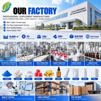 Private Label Pre-Workout Poeder 320 mg Cafeïne Aminozuur Mengsel 447 g 30 Porties Blauwe Framboos OEM ODM voor Gymmerken