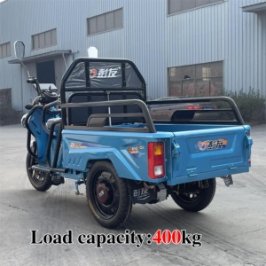 รถสามล้อไฟฟ้า2024 EEC E-Rickshaw 500กก. จักรยานไฟฟ้าทรงตัว <span class=keywords><strong>GM110</strong></span> - Product Image 2