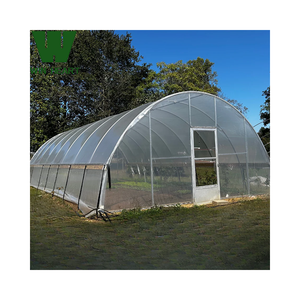 Invernadero Tipo Túnel de un Solo Tramo Resistente al Viento para Cultivadores del Medio Oriente - Product Image 1