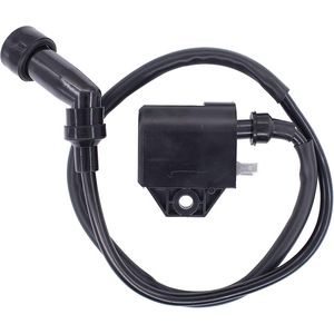คอยล์จุดระเบิดสำหรับอาร์กติกแคท 400 4X4 2003-2007 รุ่น 3430-055 อะไหล่ทดแทน - Product Image 1