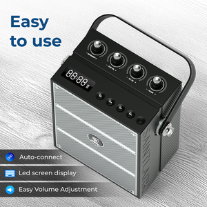 Système de sonorisation portable Winbridge S99 ECHO 100W avec micros - Product Image 5