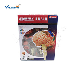 Structure du cerveau, modèle de cerveau 4D détachable et assemblable, modèle d'anatomie du cerveau humain - Product Image 5