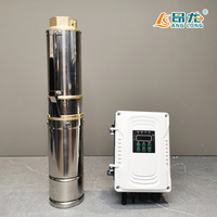 Pompe à Eau Submersible Économique Solaire pour Usage Domestique et Agricole