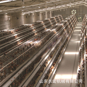 Système de cages automatiques superposées de type H en acier galvanisé Shandong Changhong Machinery pour l'élevage avicole - Product Image 2