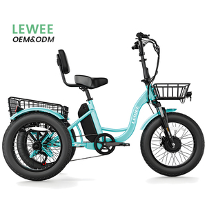 2025 các nhà sản xuất Trung Quốc nóng bán điện ba bánh xe đạp 500W phía trước động cơ Lithium 48V 14.5ah điện ba bánh Trung Quốc - Product Image 1