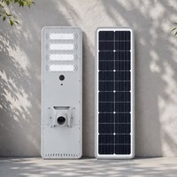 Lampadaire solaire tout-en-un haute efficacité IP65, corps en aluminium, abat-jour en PC, silicium monocristallin, télécommande, ROHS