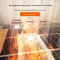Film Chauffant Industriel Puissant 170W en Graphène/PET, Design Moderne, OEM/ODM, pour Hôtels et Utilisation Extérieure – Vente en Gros