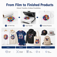 Film PET DTF de transfert thermique de qualité supérieure pour t-shirts et textiles en coton et polyester