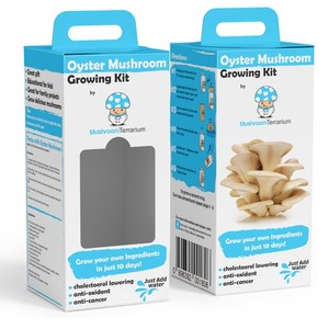 High Quality Cardboard <strong>Mushroom</strong> Fresh <strong>Mushroom</strong> Box <strong>Growing</strong> <strong>Kit</strong> Box with Handle Pulp Recyacle Packaging Box for <strong>Mushroom</strong> <strong>Growing</strong> - Product Image 5