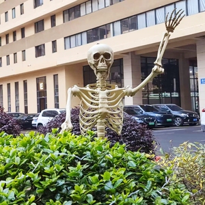 Decoración de Esqueleto de Huesos de Plástico Realista de 60 Pulgadas para Casa Embrujada, Interior y Exterior, Accesorios de Halloween - Product Image 2
