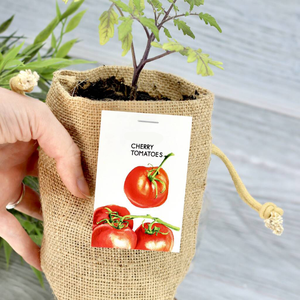 Sacs de culture écologiques biodégradables en jute non tissé <span class=keywords><strong>pour</strong></span> tomates cerises, pots de plantes d'extérieur, kit complet <span class=keywords><strong>pour</strong></span> serre de culture intérieure toutes saisons - Product Image 3