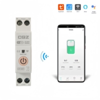 Tuya Zigbee 1P 63A 110V -220V MCB Disjoncteur de télécommande