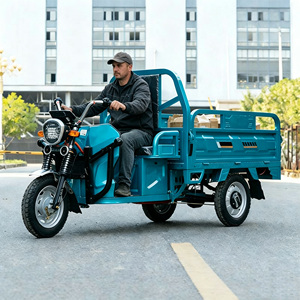 Motocicleta de Tres Ruedas a Precio de Fábrica, Triciclo para Transporte en Granjas y Almacenes - Product Image 4
