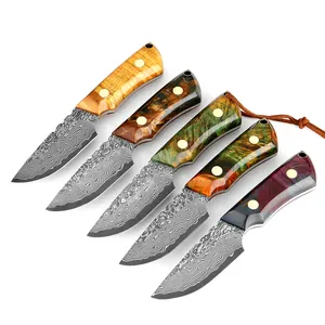 Damascus Steel Kitchen Knife Japan Vg10 3.5" Paring Pocket Fixed Cutting Utility Colorful Stable Wood Leather Case Tool