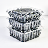 Aangepaste transparante fruitverpakking voor blauwe bessen, wegwerp plastic clamshell verpakking voor blauwe bessen
