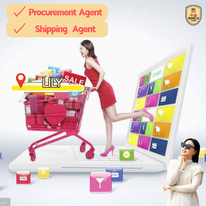 Agentes de Compras <span class=keywords><strong>en</strong></span> China, Agente de Compras 1688 <span class=keywords><strong>en</strong></span> Línea, Agente de Compras <span class=keywords><strong>en</strong></span> China 1688, Servicio Integral Profesional a Maldivas - Product Image 2