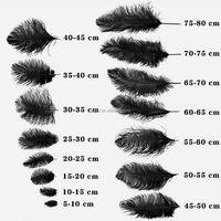 Décoration de mariage 55-60cm grandes plumes plumes d'autruche Plumas pour Costume coiffure danse carnaval Showgirl Samba Parade