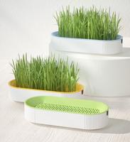Usine En Gros Chat Collations Menthe Plantation Chat Herbe Pot Boîte Ensemble Fournitures Pour Animaux De Compagnie