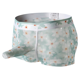 Boxers pour hommes, sous-vêtements en maille transparente à imprimé floral, ultra fins, respirants, transparents - Product Image 5