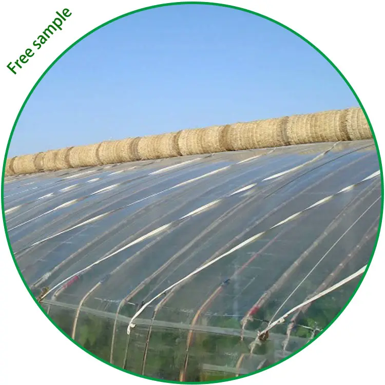 200 Micron poly plastic film covers for greenhouse  anti UV 7m width clear plastic film tomato vegetable agriculture film