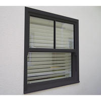 Fenêtres à double battant en PVC de style américain moderne NUOXIN avec cadre en plastique isolant thermiquement pour villa
