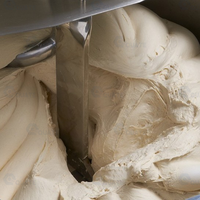 Machine à pétrir la pâte de boulangerie, type spirale électrique, pour la préparation professionnelle de la pâte