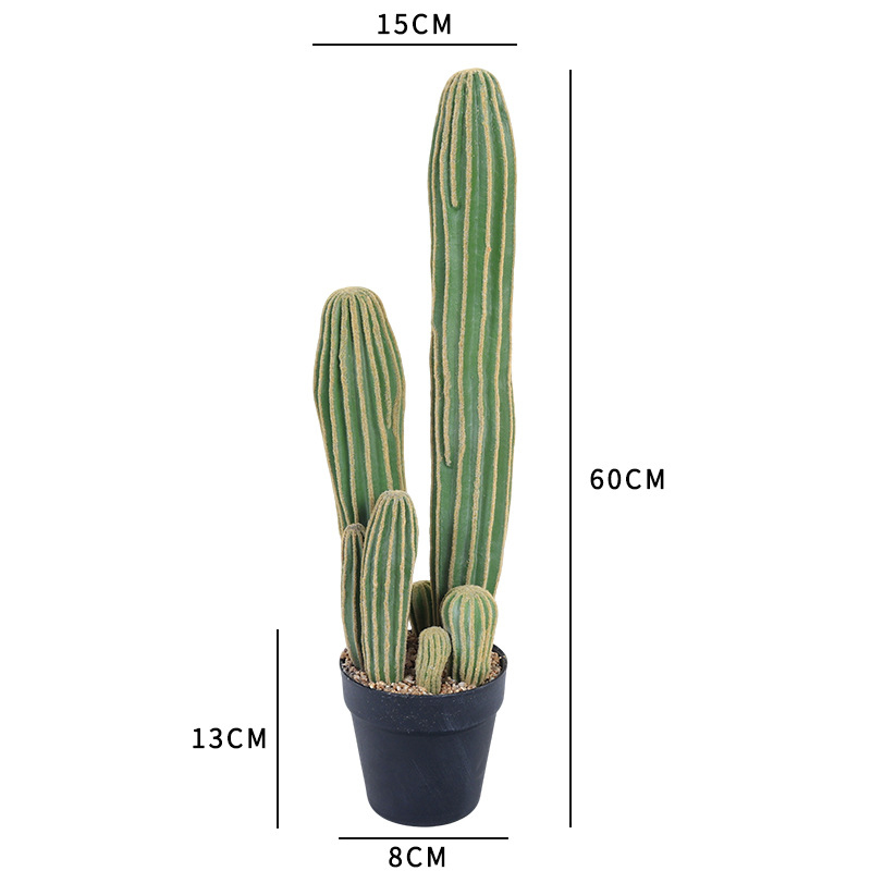 60cm