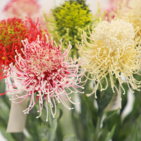 Fleur artificielle réaliste au toucher, branche unique, type coussin de fleurs, pour décorations de Noël, de remise de diplôme, d'hôtel et de maison, vente en gros