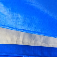 Bâche imperméable robuste transparente bleue et blanche en PE anti-âge isolante avec œillets