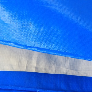 Bâche imperméable robuste transparente bleue et <span class=keywords><strong>blanche</strong></span> en PE anti-âge isolante <span class=keywords><strong>avec</strong></span> œillets - Product Image 5