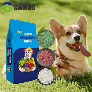 <span class=keywords><strong>Engrais</strong></span> NPK haute efficacité agricole soluble dans l'eau sacs de 25kg - Product Image 2