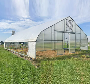 Invernadero Polytunnel de un solo tramo, invernadero agrícola, estructuras de invernadero comerciales usadas a la venta - Product Image 4