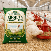 Prémélange de vitamines et d'acides aminés de qualité alimentaire Saik pour poulets, améliorant la nutrition, additif alimentaire, durée de conservation de 24 mois, sac de 1 kg