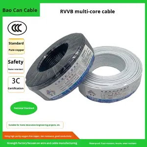 Puur Koperen Platte Omhulde Draad Rvvb <span class=keywords><strong>2</strong></span> Kern 0.<span class=keywords><strong>3</strong></span>-1.5 Vierkante Huishoudelijke Power Zachte Kabel Met Pvc-Isolatie - Product Image 2