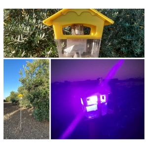 Équipement de lutte antiparasitaire, piège à lumière UV, lampe insecticide solaire miniature en agriculture pour les insectes - Product Image 2
