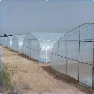 Agriculture Tomate Tunnel à travées multiples Serre Agricole Maison Verte Cadre Métallique Horticulture Serre Tropicale Prix - Product Image 5