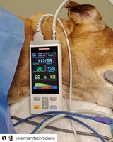 Moniteur Portable des signes vitaux pour animaux, 1 pièce, équipement vétérinaire, clinique d'hôpital, pour animaux de compagnie, No: Spo2 + etco2 + chronomt + nibp