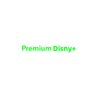Dix Ney Plus Premium 1 an 4K sans publicité Compte stable Films Séries TV