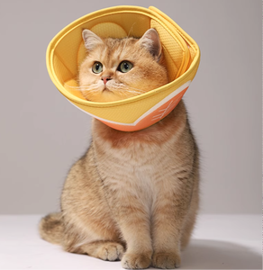 Elizabethanischer Kragen für Katzen, Hunde-Halskrause nach Operationen, Verstellbarer Erholungskragen zur Verhinderung von Wundlecken - Product Image 5