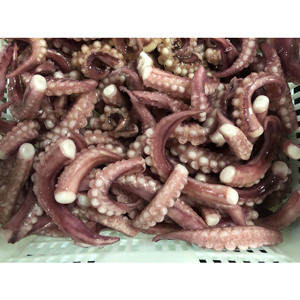 Offre Spéciale : Tentacules de Calamar Congelés IQF, Nettoyés, Entiers, avec Ventouses, Certifiés HACCP, Produits de la Mer - Product Image 4