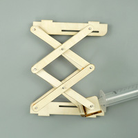 Plataforma Elevadora Hidráulica DIY de Madera, STEM, para Estudiantes, Experimentos Escolares, Invención, Experimento Científico, Juguetes Modelo, Ecológicos