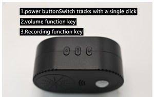 Altavoz reemplazable con sensor de movimiento infrarrojo de voz, caja de gritos de casa embrujada activada por <span class=keywords><strong>USB</strong></span> para Navidad, terror o música feliz - Product Image 4