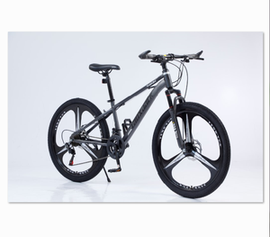 Jante de vélo de montagne en aluminium pour hommes 29 pouces VTT 29er VTT Bicicleta acier alliage d'aluminium - Product Image 1
