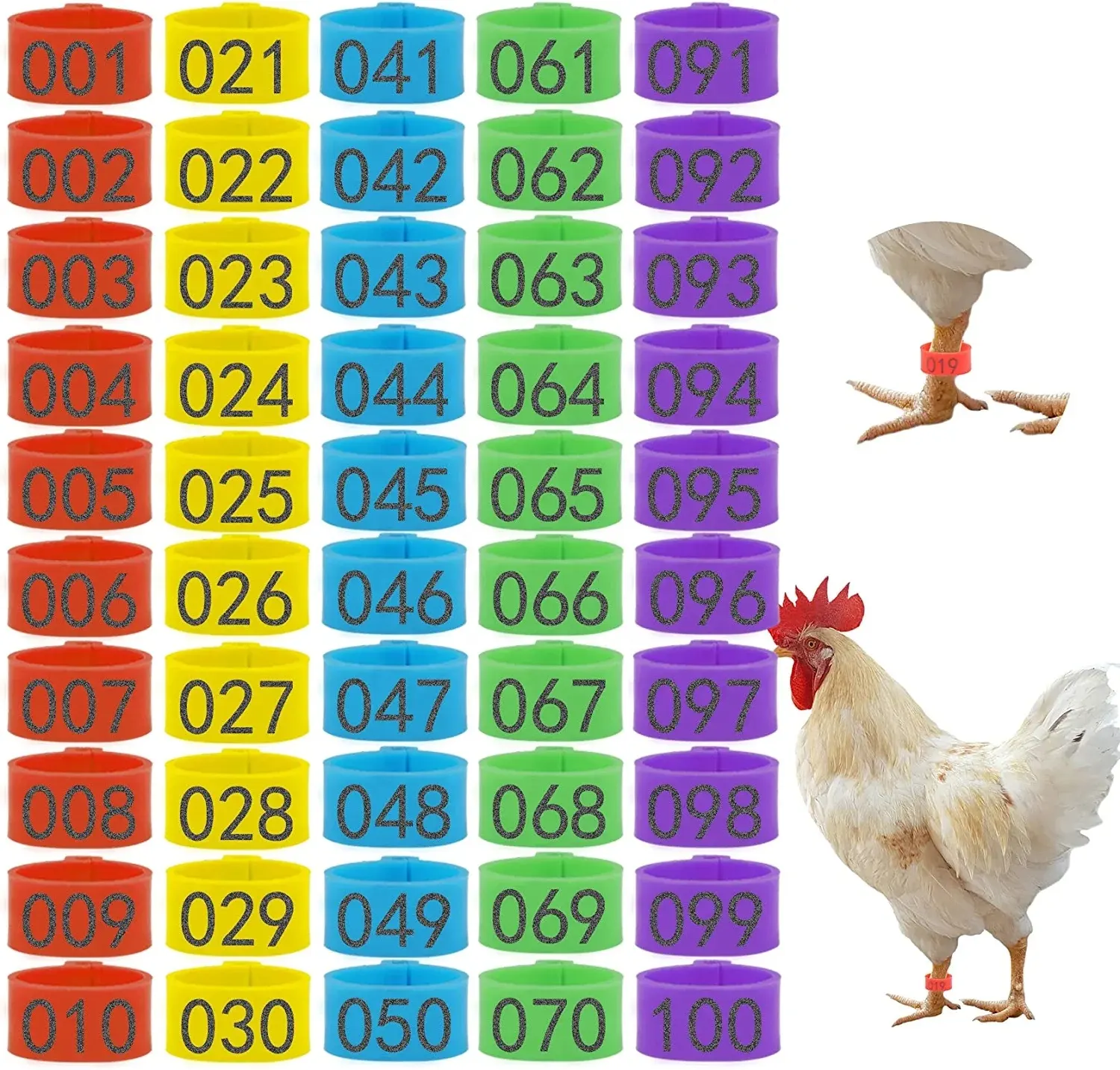 100 anneaux de cuisse de poulet avec 5 couleurs, cuisse d'identification de poulet numérotée de 16mm