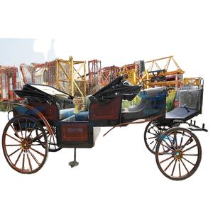 Carruaje de caballos eléctrico elegante para bodas con dosel maravilloso para transporte/Turismo transporte especial - Product Image 5