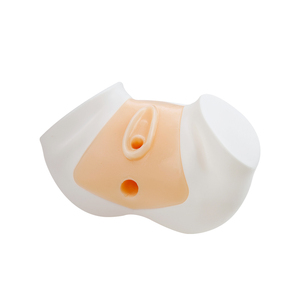Modello per Addestramento Ecografia Uterina con Strutture Pelviche Complete |   Modello di Simulazione per Ecografia Isteroscopica con Sonda Transrettale e Convessa - Product Image 2