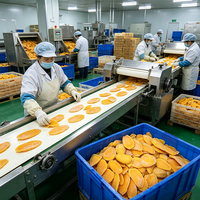 Fabrieksmatig geproduceerd 100% natuurlijk vers Desi mango puree. Nieuwe aanvoer mango vruchtvlees. Aseptische verpakking. Op maat gemaakte verpakking. Diepvries mango opslag.