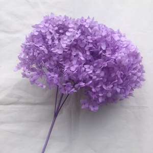 พืชตกแต่งบ้านสำหรับงานแต่งงานดอกไม้แห้งที่เก็บรักษาดอกไม้ไฮเดรนเยียสำหรับตกแต่งบ้าน - Product Image 4