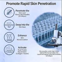 Crème à micro-aiguilles en éponge en gros, hydratante, éclaircissante, raffermissante, non invasive, OEM, avec de la niacinamide et du pro-xylane